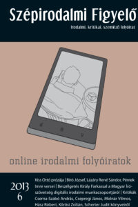 2013/6 szám borító